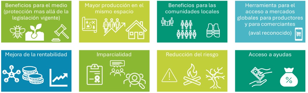 Beneficios certificacion Forestal